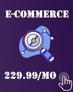 E-COMERCE