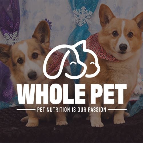 Whole Pet image for website Examples of our work